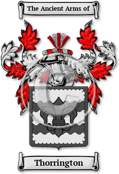 Thorrington Family Crest Download (jpg) Legacy Series - 150 DPI
