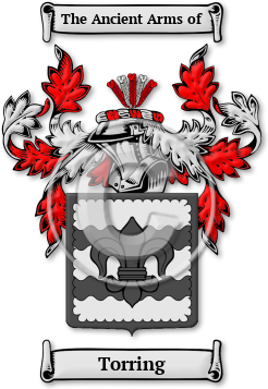 Torring Family Crest Download (jpg) Legacy Series - 150 DPI