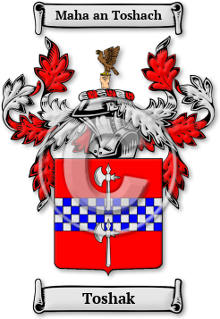 Toshak Family Crest Download (jpg) Legacy Series - 150 DPI