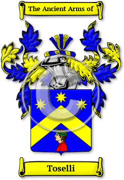 Toselli Family Crest Download (jpg) Legacy Series - 150 DPI