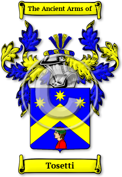 Tosetti Family Crest Download (jpg) Legacy Series - 150 DPI