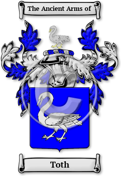 Toth Family Crest Download (jpg) Legacy Series - 150 DPI
