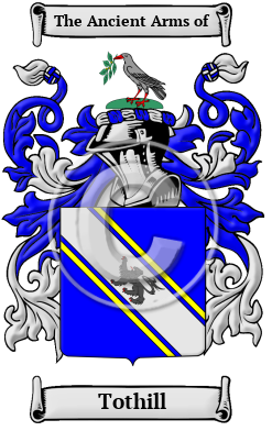 Tothill Family Crest/Coat of Arms