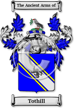 Tothill Family Crest Download (jpg) Legacy Series - 150 DPI