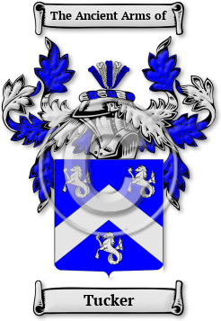 Tucker Family Crest Download (jpg) Legacy Series - 150 DPI