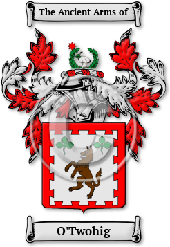 O'Twohig Family Crest Download (JPG) Legacy Series - 600 DPI