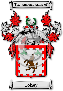 Tohey Family Crest Download (JPG) Legacy Series - 600 DPI
