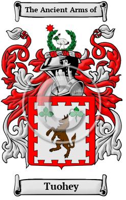 Tuohey Family Crest Download (JPG) Heritage Series - 600 DPI