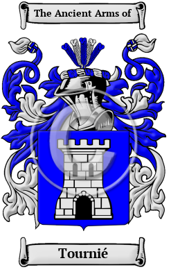 Tournié Family Crest Download (JPG) Heritage Series - 300 DPI