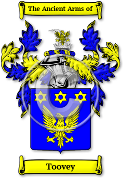 Toovey Family Crest Download (jpg) Legacy Series - 150 DPI