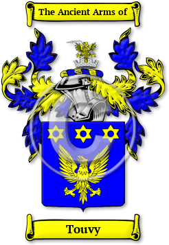 Touvy Family Crest Download (jpg) Legacy Series - 150 DPI
