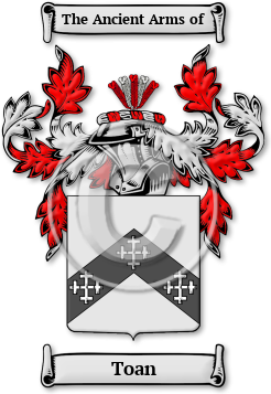 Toan Family Crest Download (jpg) Legacy Series - 150 DPI