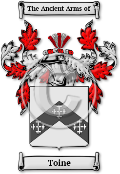 Toine Family Crest Download (JPG) Legacy Series - 600 DPI
