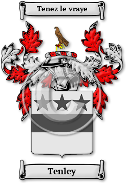 Tenley Family Crest Download (jpg) Legacy Series - 150 DPI