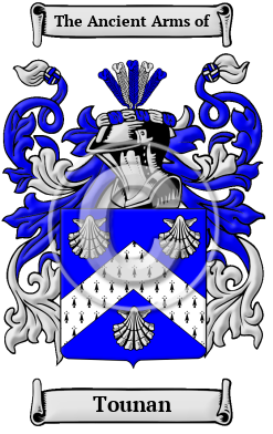 Tounan Family Crest/Coat of Arms