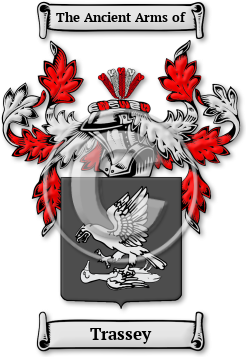 Trassey Family Crest Download (jpg) Legacy Series - 150 DPI