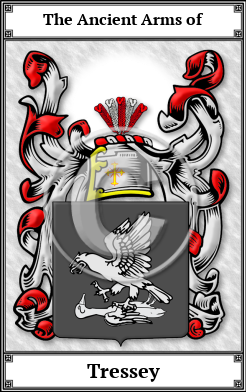 Tressey Family Crest Download (JPG)  Book Plated - 150 DPI