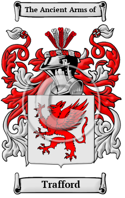 Trafford Family Crest Download (JPG) Heritage Series - 600 DPI