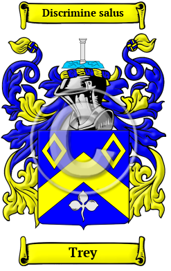 Trey Family Crest Download (JPG) Heritage Series - 600 DPI