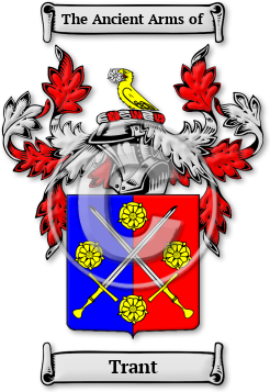 Trant Family Crest Download (jpg) Legacy Series - 150 DPI