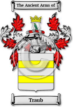 Traub Family Crest Download (jpg) Legacy Series - 150 DPI