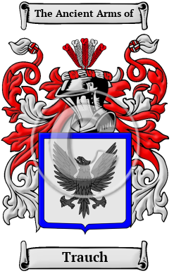 Trauch Family Crest/Coat of Arms