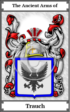 Trauch Family Crest Download (JPG)  Book Plated - 150 DPI