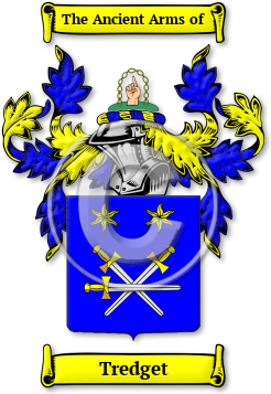 Tredget Family Crest Download (jpg) Legacy Series - 150 DPI