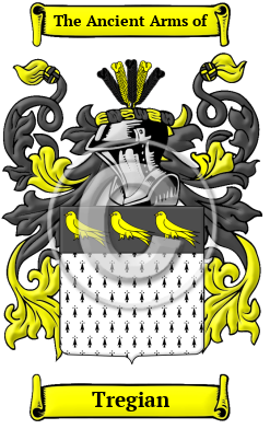 Tregian Name Meaning, Family History, Family Crest & Coats of Arms