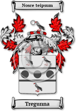Tregunna Family Crest Download (jpg) Legacy Series - 150 DPI