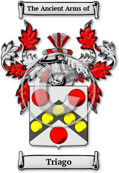 Triago Family Crest Download (jpg) Legacy Series - 150 DPI