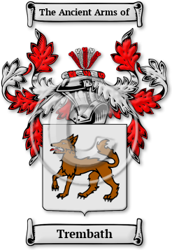 Trembath Family Crest Download (jpg) Legacy Series - 150 DPI