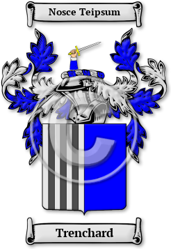 Trenchard Family Crest Download (jpg) Legacy Series - 150 DPI