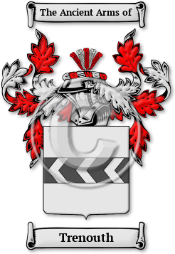 Trenouth Family Crest Download (jpg) Legacy Series - 150 DPI