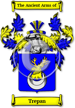 Trepan Family Crest Download (JPG) Legacy Series - 600 DPI