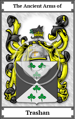 Trashan Family Crest Download (JPG)  Book Plated - 150 DPI