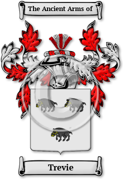 Trevie Family Crest Download (JPG) Legacy Series - 600 DPI