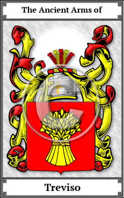 Treviso Family Crest Download (JPG)  Book Plated - 150 DPI