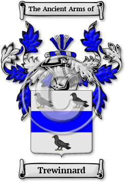 Trewinnard Family Crest Download (JPG) Legacy Series - 600 DPI