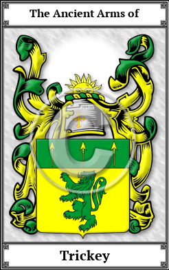 Trickey Family Crest Download (JPG)  Book Plated - 150 DPI