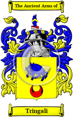 Tringali Family Crest Download (JPG) Heritage Series - 600 DPI
