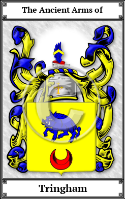 Tringham Family Crest Download (JPG)  Book Plated - 150 DPI