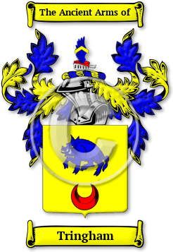Tringham Family Crest Download (jpg) Legacy Series - 150 DPI