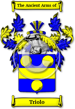 Triolo Family Crest Download (jpg) Legacy Series - 150 DPI