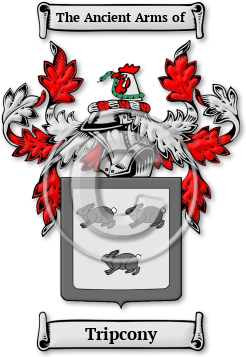 Tripcony Family Crest Download (jpg) Legacy Series - 150 DPI