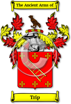 Trip Family Crest Download (jpg) Legacy Series - 150 DPI