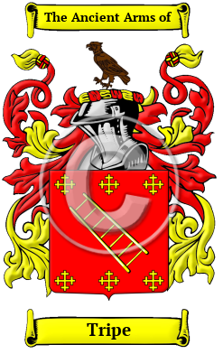 Tripe Family Crest/Coat of Arms