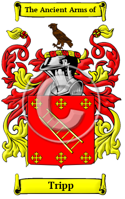 Tripp Family Crest Download (JPG) Heritage Series - 600 DPI
