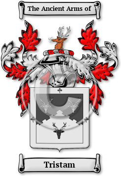 Tristam Family Crest Download (jpg) Legacy Series - 150 DPI