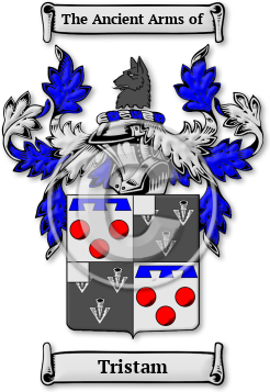 Tristam Family Crest Download (jpg) Legacy Series - 150 DPI